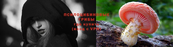 дмт Балахна
