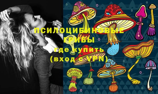 дмт Балахна