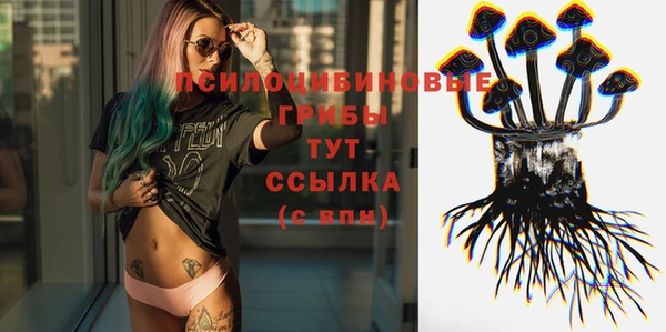 амф Сафоново